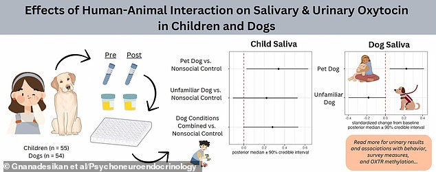 New study reports stress-reducing benefits of child-dog bonding: increased oxytocin, 