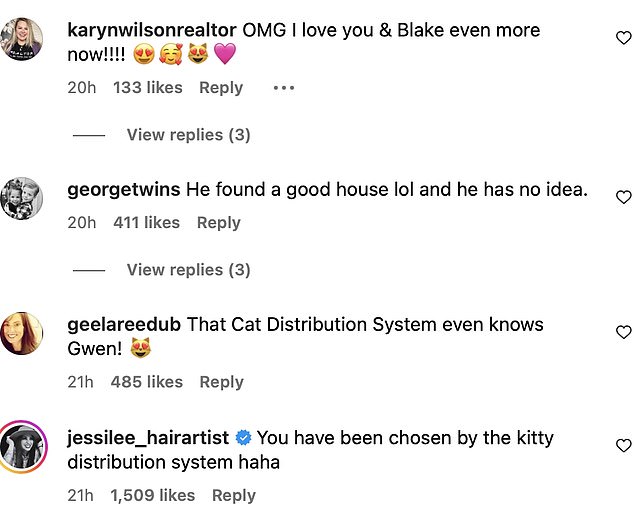 'That cat distribution system even knows Gwen!' one fan humorously joked while another added: 'You've been chosen by the cat distribution system haha.'