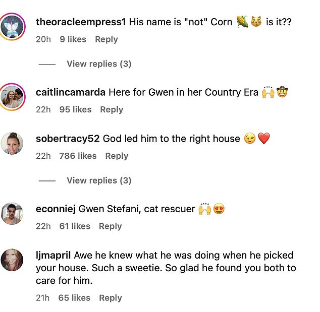 'Here's to Gwen in her country era,' someone else wrote, while another fan pointed out the obvious, 'can you imagine being @gwenstefani and @blakeshelton's cat? Are you kidding?