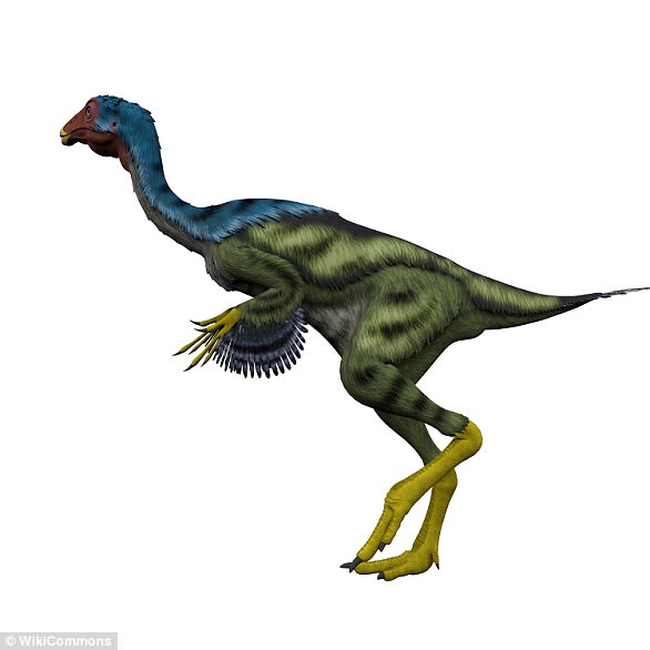 Pictured is a 3D illustration of Caudipteryx, a genus of peacock-sized oviraptorosaur dinosaur. The first specimen of Caudipteryx was discovered in China in 1997. 