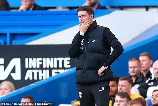 Brighton manager Fabian Hurzeler saw a malfunction in his system at Stamford Bridge on Saturday.