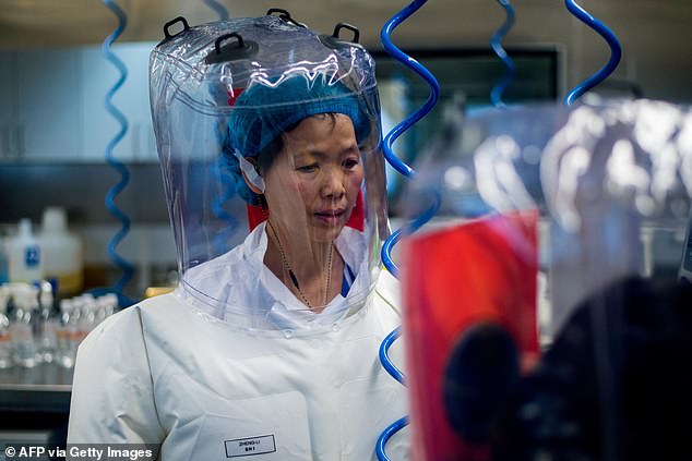 A Chinese scientist in the Wuhan laboratory in 2017; a leak was first suspected in 2020