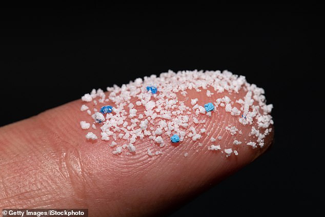 Small plastic balls on a finger. Microplastic levels are almost 60 percent higher in carpeted homes than in uncarpeted workplaces, study finds (file photo)