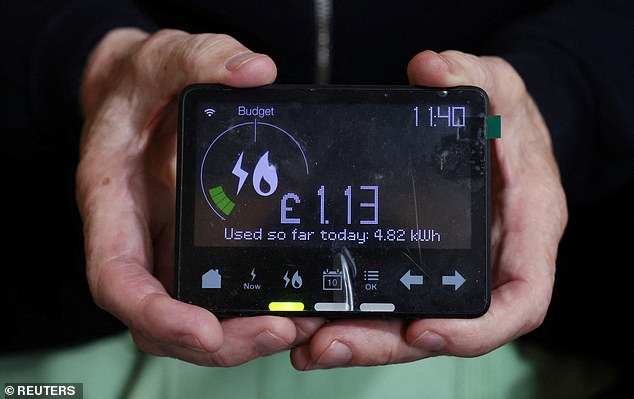 The average home energy bill is expected to rise by £149 a year as Ofgem increases its energy cap this winter (File image of a person holding a smart energy reader)