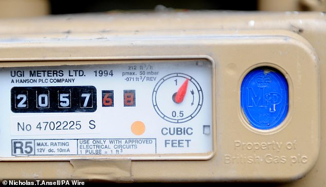 The latest limit will be just 6 per cent or £117 lower than compared to the same period last year (pictured: a gas meter).