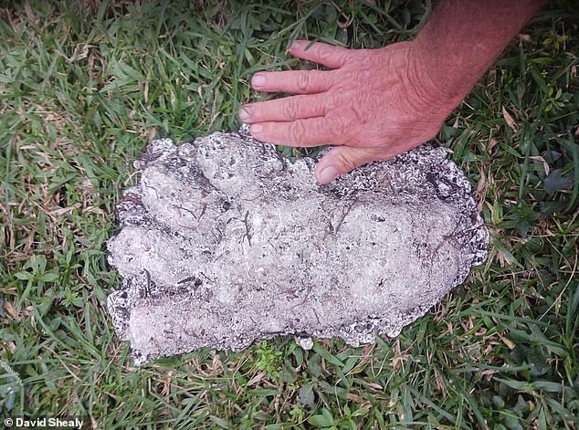 Shealy compares his hand to the footprint of a Skunk Ape, which has four distinctive toes, distinguishing it from Bigfoot.