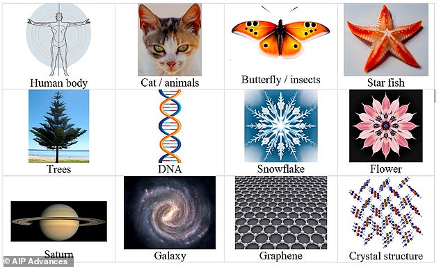 Professor Vopson believes that the prevalence of symmetry in the universe (pictured) suggests that we are in a simulated reality because it is a way to save computational power.