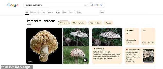 MailOnline identified another case where an AI-generated image was the first result of a common edible mushroom