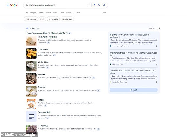 MailOnline found that Google's AI overview was providing incorrect images for several searches for common edible mushrooms