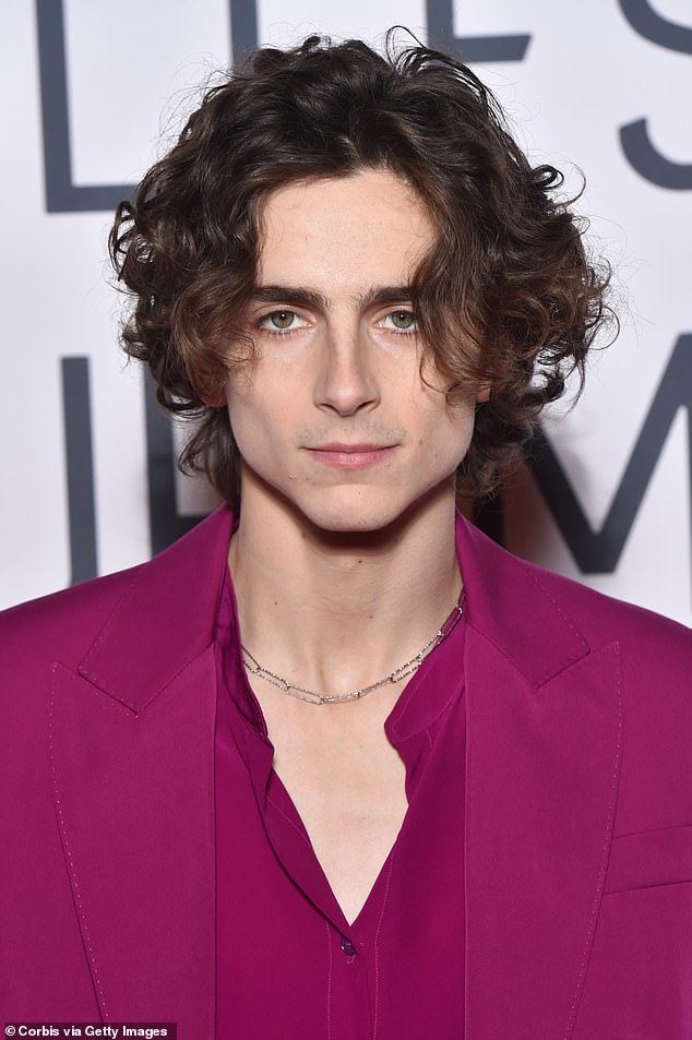 Chalamet first rose to fame starring in the 2017 coming-of-age romantic drama Call Me by Your Name (pictured: 2019).