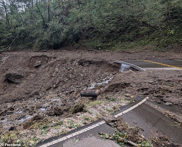 On Saturday morning, Perkins, 38, set out on a dangerous journey, traveling 11 perilous miles to see them in the mountains of North Carolina, where they live.