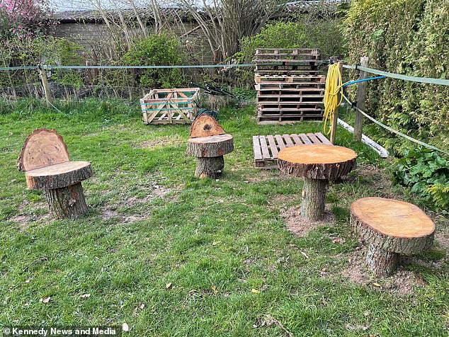 The mother of two was checking on the trio last month when she noticed that part of a wooden chair her husband had made for the animals had rotted away, leaving a large spike exposed.