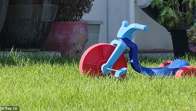 A child's toy bicycle was on the front lawn of the house.