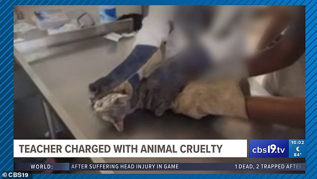 The video captured the cat being restrained after Benner instructed the students to do so.