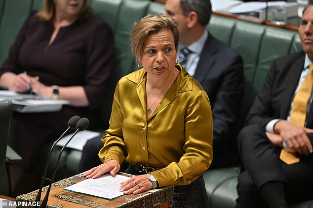 Communications Minister Michelle Rowland would have broad powers under the proposed laws.