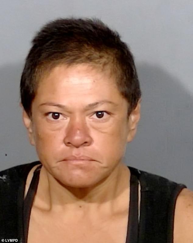 Patricia Sierra, 47, was identified as the culprit several days after the incident. She told police she has a history of robbing businesses by smashing their windows with rocks.