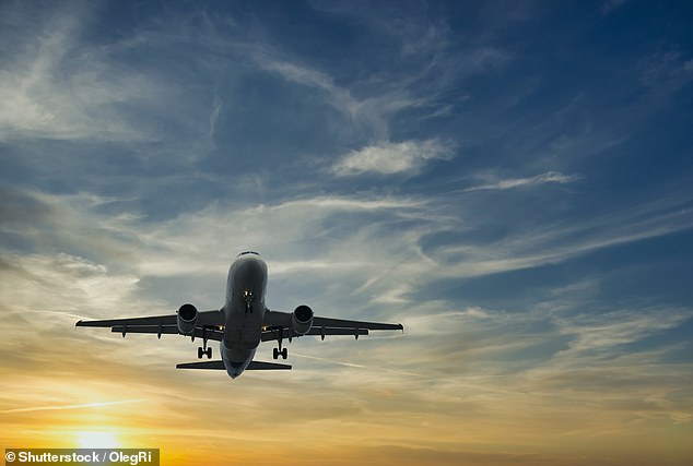 Nelson's secret to smooth flying is to book flights in the morning because they are less likely to be cancelled than those later in the day.