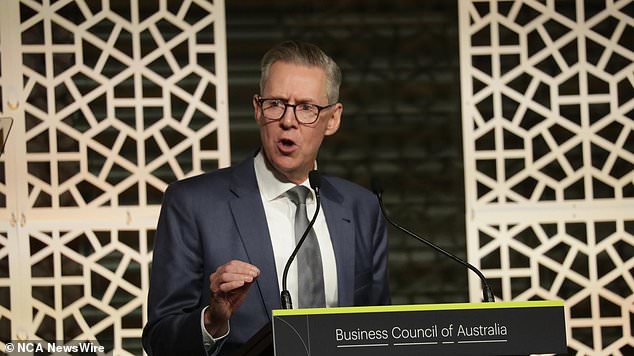 Business Council of Australia Chairman Geoff Culbert has backed the Albanian government's decision to limit the entry of international students.