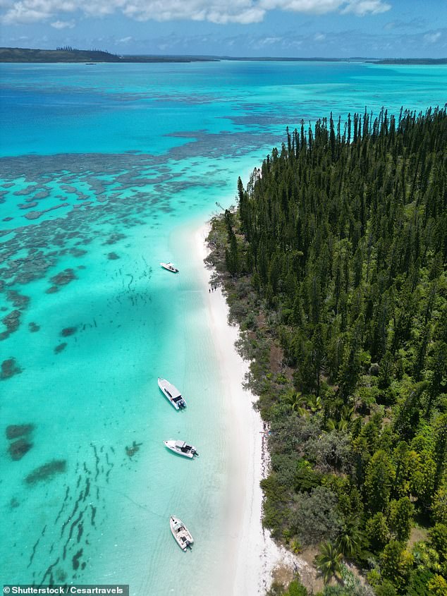 An ad on Facebook promised an eight-day cruise with three stops in New Caledonia (pictured)