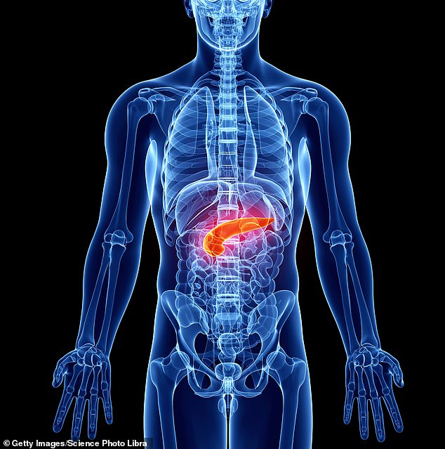 The pancreas is an organ that, among other functions, produces insulin. Insulin is a natural hormone that our body uses to control the amount of sugar in the bloodstream. People with diabetes have problems regulating their blood sugar level due to pancreatic dysfunction