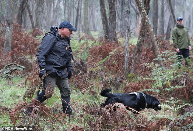 The area near Enfield State Park has been searched before and one expert said police likely have information they are acting on.