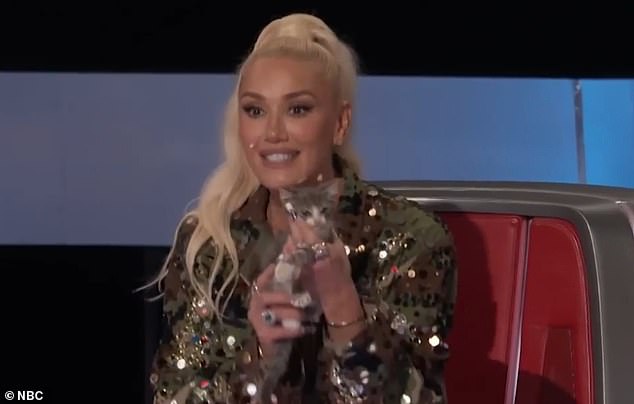 The No Doubt singer, 54, received widespread backlash when she brought her tiny rescue kitten onstage at the season 26 premiere on Monday night, before holding it in the air as she addressed the studio audience.