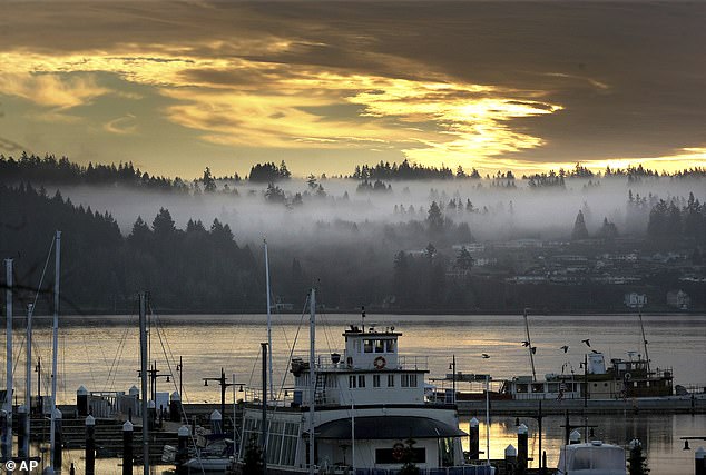 The mother bravely fought to free her son, but he still had scratches and bite marks on the top of his head, face and legs, the Washington Department of Fish and Wildlife (WDFW) reported. Pictured: Bremerton Harborside Marina in Bremerton, Washington