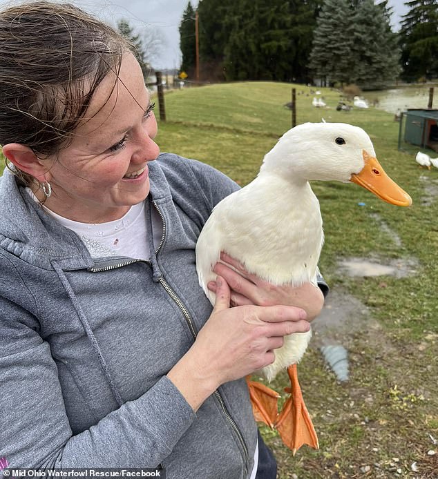 Speaking to DailyMail.com, Lisa said the sheer number of birds that have gone missing recently has far exceeded previous summers in the region.