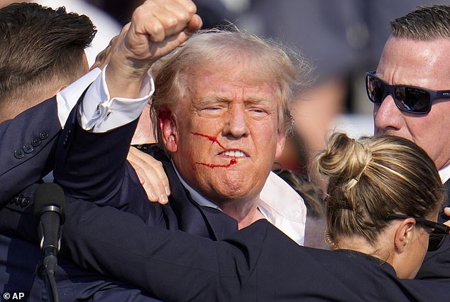 A bloodied Donald Trump stands up after being shot and raises his fist on July 13.