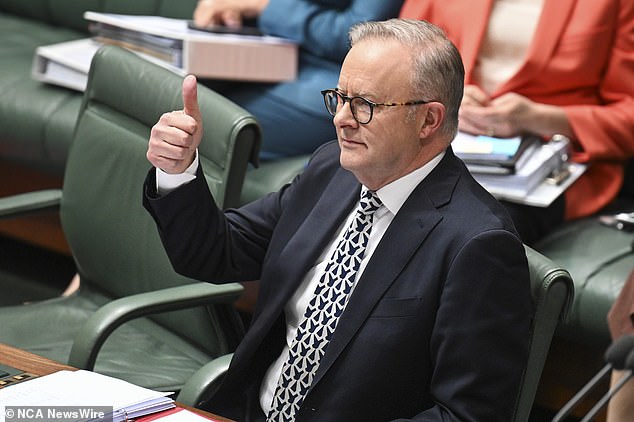 Anthony Albanese's government has drafted new laws that could see businesses fined millions of dollars for failing to stop scams.