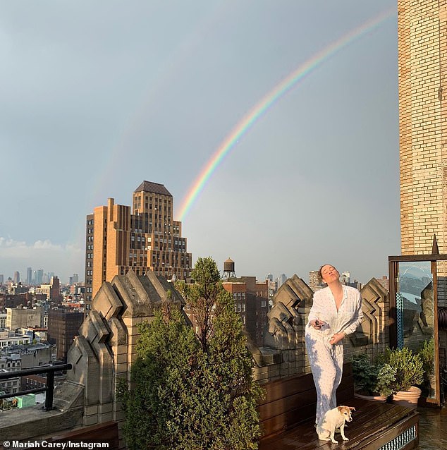 Carey, 55, has great views of Lower Manhattan from the terrace of her Tribeca penthouse. The property consists of two units that she bought and connected