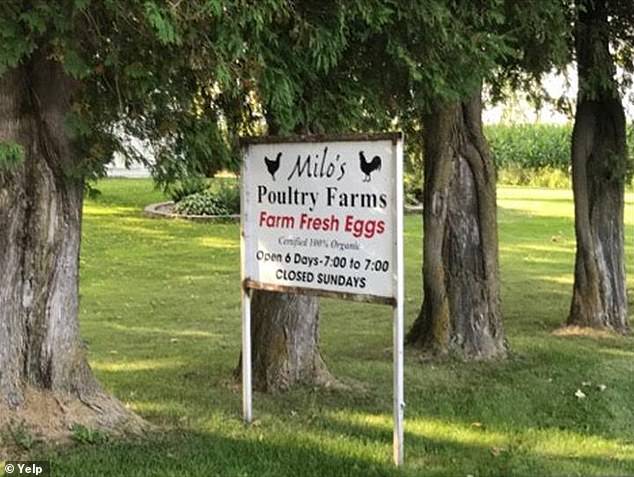 From Milo's Poultry Farms, the eggs were originally shipped to grocery stores and food suppliers in Michigan, Wisconsin and Illinois, according to the FDA.