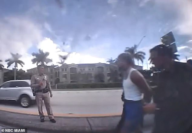 Police footage shows Ovi being escorted away by officers in Miami after police pulled him over on Tuesday, a day after he was seen on video pointing a gun at a driver. He was charged with aggravated assault with a deadly weapon, improper exhibition of a firearm and possession of a controlled substance.