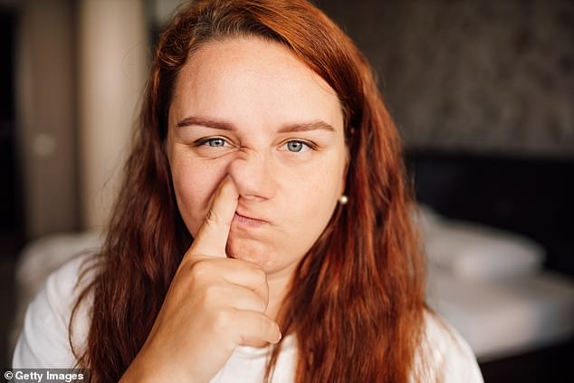 Studies suggest that nearly all Americans pick their nose, with many doing so four times a day on average.