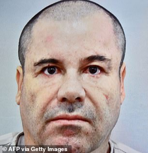 Her husband, Joaquin 'El Chapo' Guzman Loera, in his mugshot from 2015