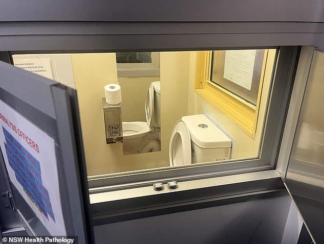 When he is released after about a year of treatment, Jake Hogan will still have to report three times a week to Parklea, where specially designed toilets with windows (above) allow staff to watch men give their urine samples.