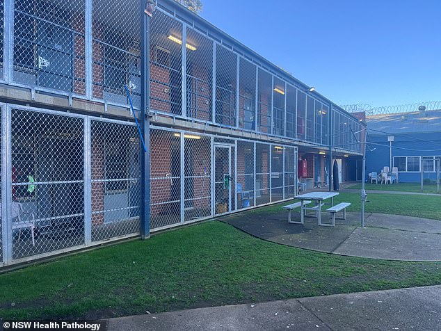 After agreeing to have his case transferred to drug court, Jake Hogan is now likely to be held in closed detention inside Parklea Jail's Mandatory Drug Treatment Centre (above)