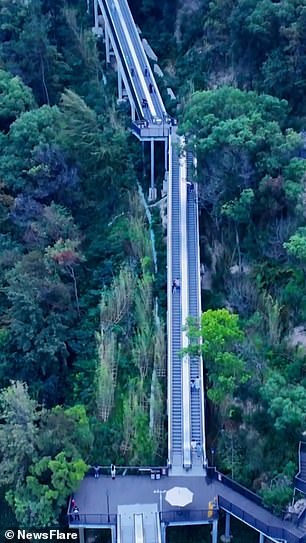 There is a winding path to the top of the mountain which takes about 50 minutes on foot. The escalator ride takes about 10 minutes and costs 30 Chinese yen (£3.30/$4.32).