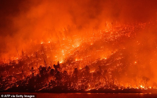 Several countries in the Americas, Africa, Europe and Asia have experienced record temperatures this year. Pictured: Oroville, California, on July 2