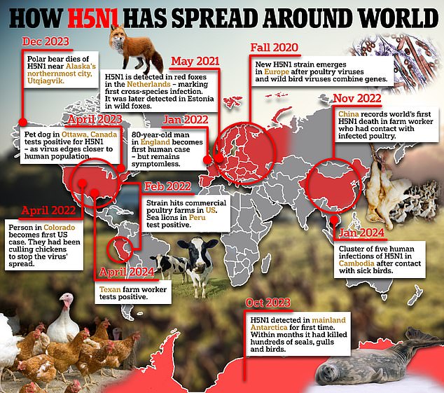 This is how pandemics start Scientists issue warning after terrifying