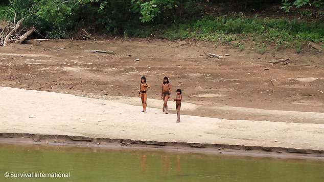 The tribe was seen in rare footage of June walking along the banks of a river in the Madre de Dios region of Peru (photo June)