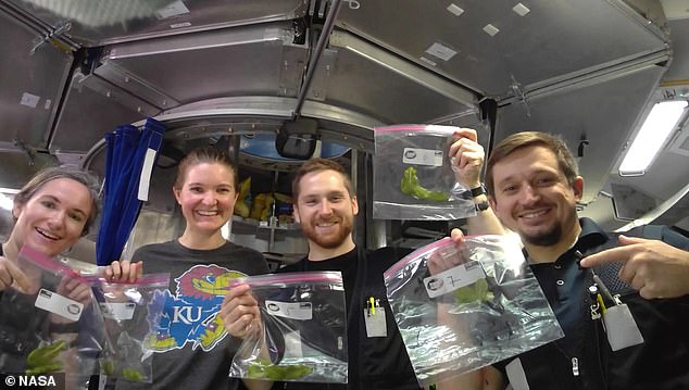 Their mission was unique because it included more detailed tasks designed to closely replicate the experience of living and working on Mars, including growing hydroponic plants.