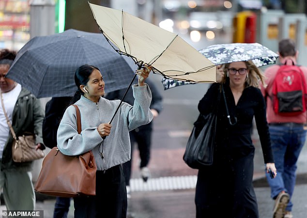 Towering waves of up to nine meters are forecast along the New South Wales coast, with higher altitude areas hardest hit by gale-force winds.