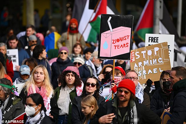 Protesters at a pro-Palestine rally in Melbourne earlier this year. There is no suggestion that those pictured above support Hamas or Hezbollah.