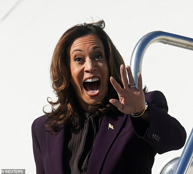 Valleau was charged Friday by Farmington Hills prosecutors with ethnic assault and intimidation. PICTURED: Vice President Kamala Harris at Wayne County Metropolitan Airport in Detroit, Michigan, on September 19