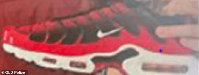 The girl was last seen wearing these red and black TN shoes (pictured)