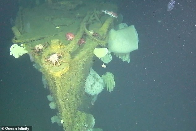 The wreckage of DD-224 was said to have been found in near-perfect condition, potentially making it one of the first of its kind to be so well preserved.