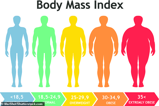 Body mass index (BMI) places people into one of five categories based solely on their height and weight. Critics say this measure is imprecise and cannot take into account things like fat distribution and muscle mass, suggesting the BRI might be better.