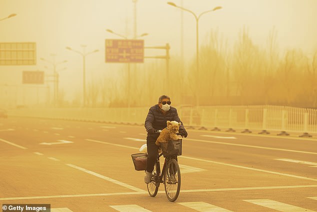 Researchers point out that in some Chinese cities like Beijing (pictured) fuel use is already rationed indirectly by preventing people from driving on specific days. This aims to help reduce air pollution within the city.