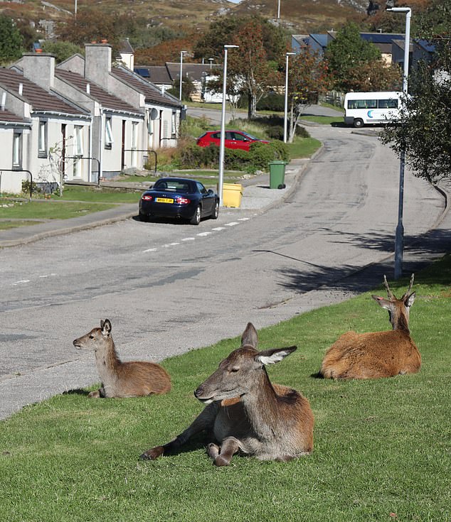 Described by the local Highland council as a 